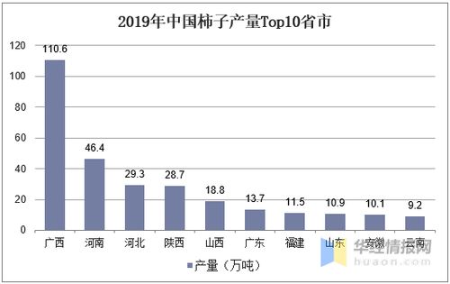 中国柿子产量 进出口及产品加工分析,广西柿子产量位居全国第一